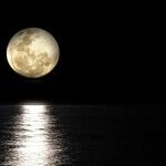 Seduction Moon