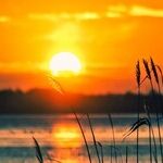 The Practicalities of a Capricorn Sun