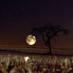 Venus Retrograde Opportunity