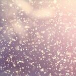 Fresh Season; New Thoughts