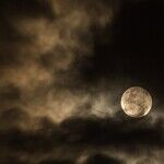 Lunar Twist