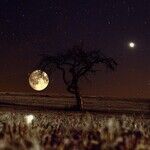 Lunar Squares