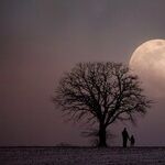 Snow Moon Alternatives