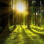Last Days of the Pisces Sun