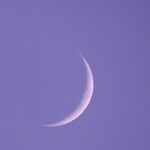 New Moon Pre-Show