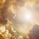 Taurus Solar Check-In