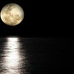 Restless Moon