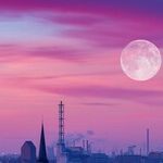 Pink Moon Musings