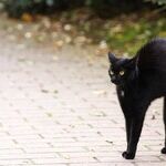 Friday the 13th