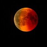 Hospitality Moon