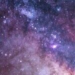 Sociable New Moon