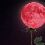 Super Red Moon