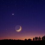 Venus Labors