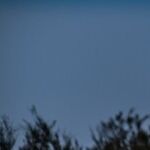 Moon of Cautious Grouping