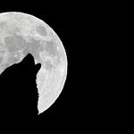 Transformation Moon