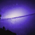 Cosmic Call for Social Sharing