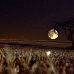 Countdown to a Venus Change