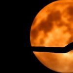 The Moon's Proclamation