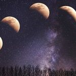 Moon's Mixed Bag