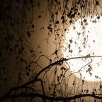Intuition Moon