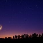 Wild Tales of a Venus Opposition