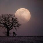 Cold Moon