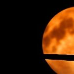 Waltz of the Cat Moon