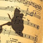 Venus and Mars Harmonize