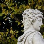 Janus Rules