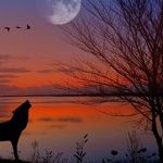 Countdown to Wolf Moon
