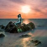 Venus at the Mermaid Motel