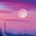 Industrious Moon