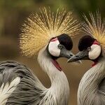 The Power of Two
