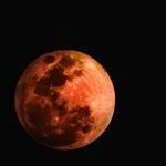 New Moon Dare