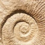 Mars Offers a Sacred Square
