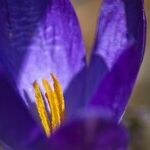 Spring Equinox