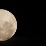 New Moon, New You