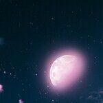 Song of the Pink Moon