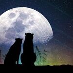 Planets Talk Love