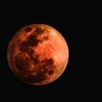 Moon Favors Fools