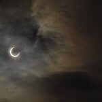 Eclipse Opens Taurus Season