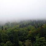 How to See Invisible Things