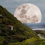 Psychic Lunar Tides