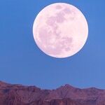 Jurassic Moon