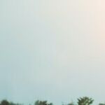 New Moon of Vitality