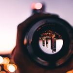 Life and Lens Flares