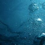 Fishing the Scorpio Sea