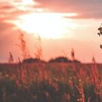 Satisfaction and the Scorpio Sun