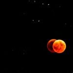 Meal Kit Moon
