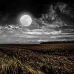 Moon of Immediacy